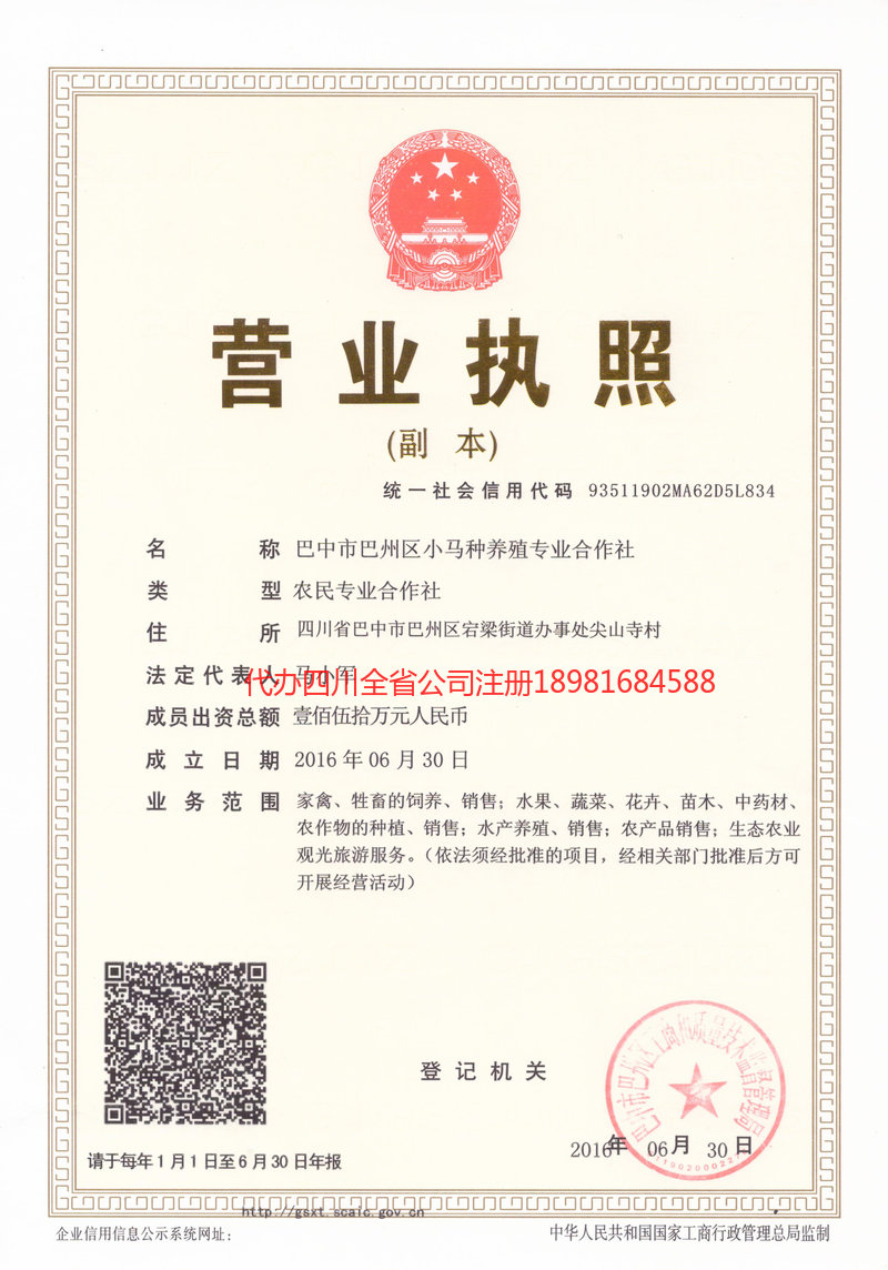 喀什地区喀什地区小马种养殖专业合作社